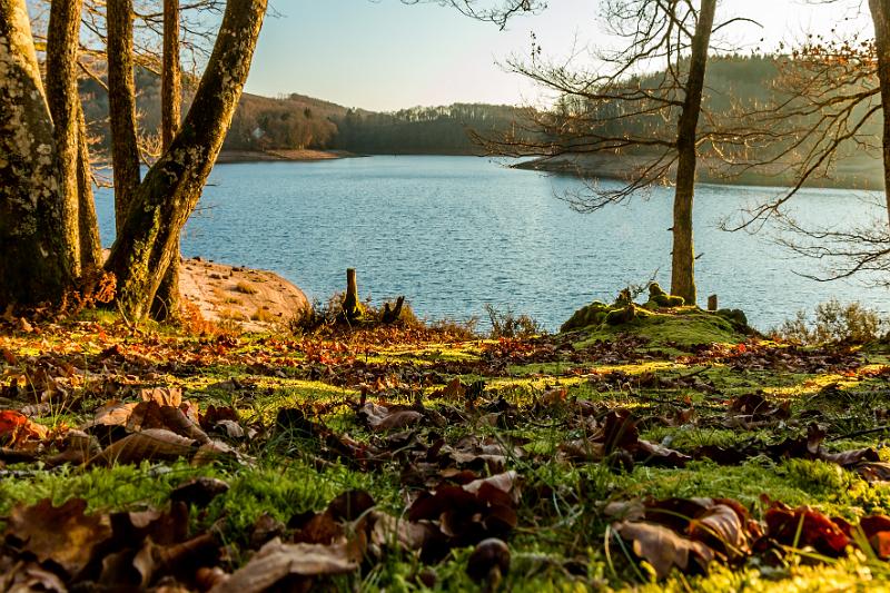 2016_12_04 (0075).jpg - Lac de Chaumeçon